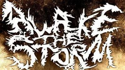 logo Awake The Storm